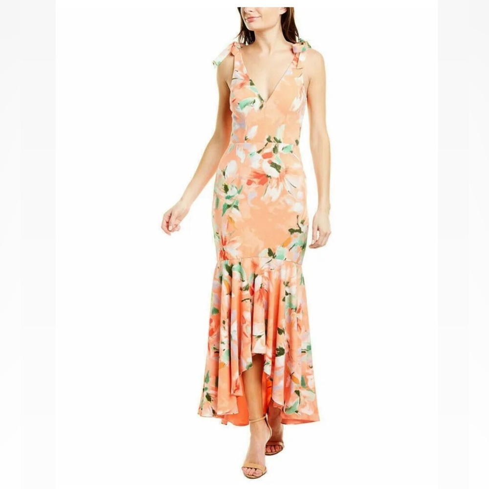 NWT Dress the Population Julia Dress
